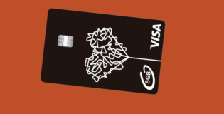 visa_pionowa